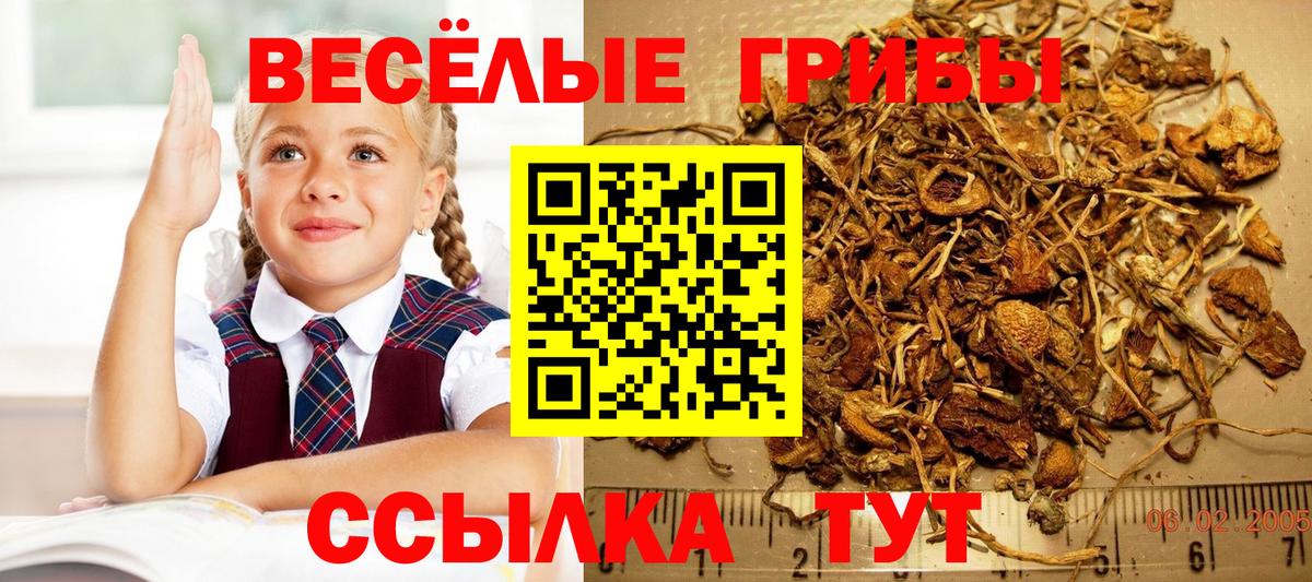Воскресенск  Галлюциногенные грибы Cubensis  Вход с VPN  Псилоцибиновые грибы Psilocybe 